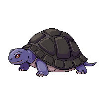 nature turtle shell slow reptile 055 v6 2026 03 25T19 14 54