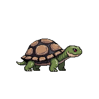 nature turtle shell slow reptile 065 v7 2026 03 25T19 14 54