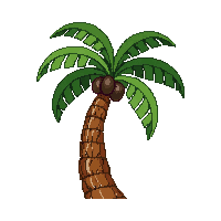 nautic coconut palm tropical fruit 074 v5 2026 03 30T00 37 17