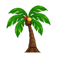 nautic coconut palm tropical fruit 089 v6 2026 03 30T00 37 17