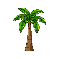 nautic coconut palm tropical fruit 104 v7 2026 03 30T00 37 17