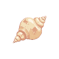 nautic seashell conch ocean shell 012 2026 03 30T00 37 17