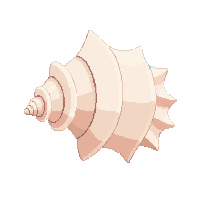 nautic seashell conch ocean shell 042 v3 2026 03 30T00 37 17