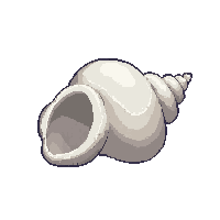 nautic seashell conch ocean shell 087 v6 2026 03 30T00 37 17