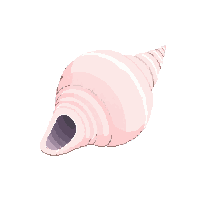 nautic seashell conch ocean shell 132 v9 2026 03 30T00 37 17