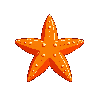 nautic starfish orange sea star 028 v2 2026 03 30T00 37 17