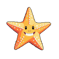 nautic starfish orange sea star 043 v3 2026 03 30T00 37 17