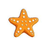 nautic starfish orange sea star 073 v5 2026 03 30T00 37 17