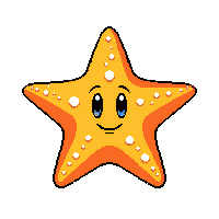 nautic starfish orange sea star 088 v6 2026 03 30T00 37 17