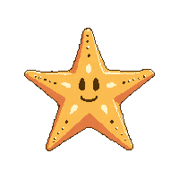 nautic starfish orange sea star 103 v7 2026 03 30T00 37 17