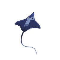 ocean manta ray flat fish 057 v6 2026 03 25t19 14 54