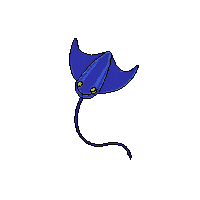 ocean manta ray flat fish 097 v10 2026 03 25t19 14 54