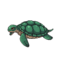 ocean sea turtle shelled reptile 005 2026 03 25t19 14 54