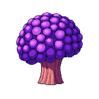 ocean brain coral round formation 006 2026 03 25T19 14 54