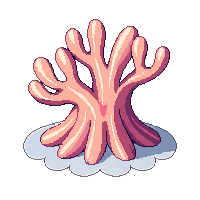 ocean brain coral round formation 016 v2 2026 03 25T19 14 54