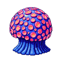 ocean brain coral round formation 036 v4 2026 03 25T19 14 54