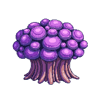 ocean brain coral round formation 046 v5 2026 03 25T19 14 54