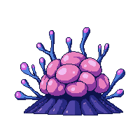 ocean brain coral round formation 066 v7 2026 03 25T19 14 54