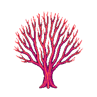 ocean fan coral branching structure 047 v5 2026 03 25T19 14 54