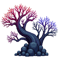 ocean fan coral branching structure 057 v6 2026 03 25T19 14 54