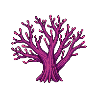ocean fan coral branching structure 067 v7 2026 03 25T19 14 54
