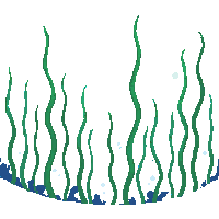 ocean giant kelp tall seaweed 024 v3 2026 03 25T19 14 54