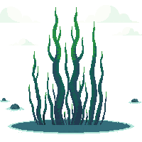 ocean giant kelp tall seaweed 074 v8 2026 03 25T19 14 54