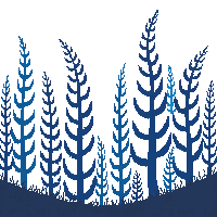 ocean giant kelp tall seaweed 094 v10 2026 03 25T19 14 54