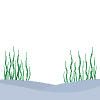 ocean sea grass underwater meadow 005 2026 03 25T19 14 54