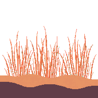 ocean sea grass underwater meadow 015 v2 2026 03 25T19 14 54