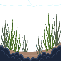 ocean sea grass underwater meadow 025 v3 2026 03 25T19 14 54