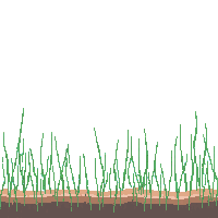ocean sea grass underwater meadow 045 v5 2026 03 25T19 14 54