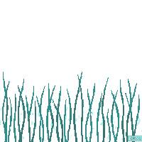 ocean sea grass underwater meadow 085 v9 2026 03 25T19 14 54