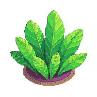 ocean sea lettuce green algae 039 v4 2026 03 25T19 14 54