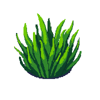 ocean sea lettuce green algae 049 v5 2026 03 25T19 14 54