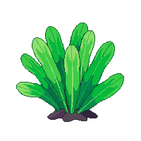 ocean sea lettuce green algae 059 v6 2026 03 25T19 14 54