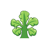 ocean sea lettuce green algae 089 v9 2026 03 25T19 14 54