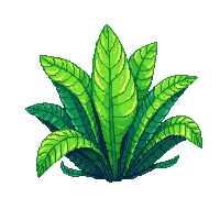 ocean sea lettuce green algae 099 v10 2026 03 25T19 14 54