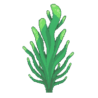 ocean seaweed kelp ocean plant 022 v3 2026 03 25T19 14 54