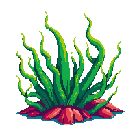 ocean seaweed kelp ocean plant 032 v4 2026 03 25T19 14 54