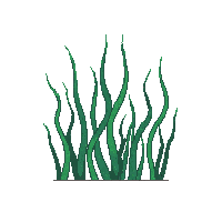 ocean seaweed kelp ocean plant 042 v5 2026 03 25T19 14 54
