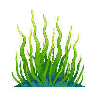 ocean seaweed kelp ocean plant 052 v6 2026 03 25T19 14 54