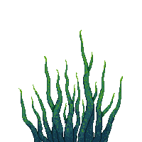 ocean seaweed kelp ocean plant 062 v7 2026 03 25T19 14 54