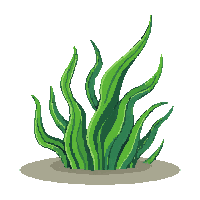 ocean seaweed kelp ocean plant 072 v8 2026 03 25T19 14 54
