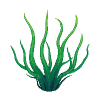 ocean seaweed kelp ocean plant 092 v10 2026 03 25T19 14 54