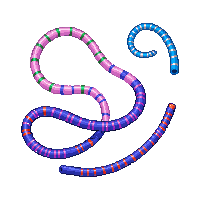 ocean tube worms colorful creatures 010 2026 03 25T19 14 54