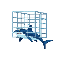 ocean diving cage protection structure 024 v3 2026 03 25T19 14 54