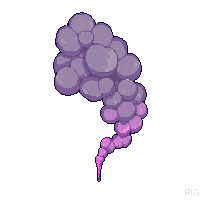 partic smoke puff gray smoke 048 v4 2026 03 30T00 37 17