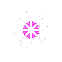 partic star burst shining star 152 v11 2026 03 30T00 37 17