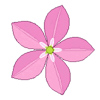 partic flower petal pink petal 011 2026 03 30T00 37 17